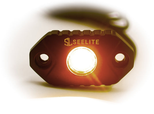 SeeLite 9W LED Rock Light