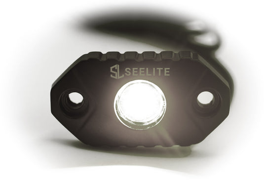 SeeLite 9W LED Rock Light