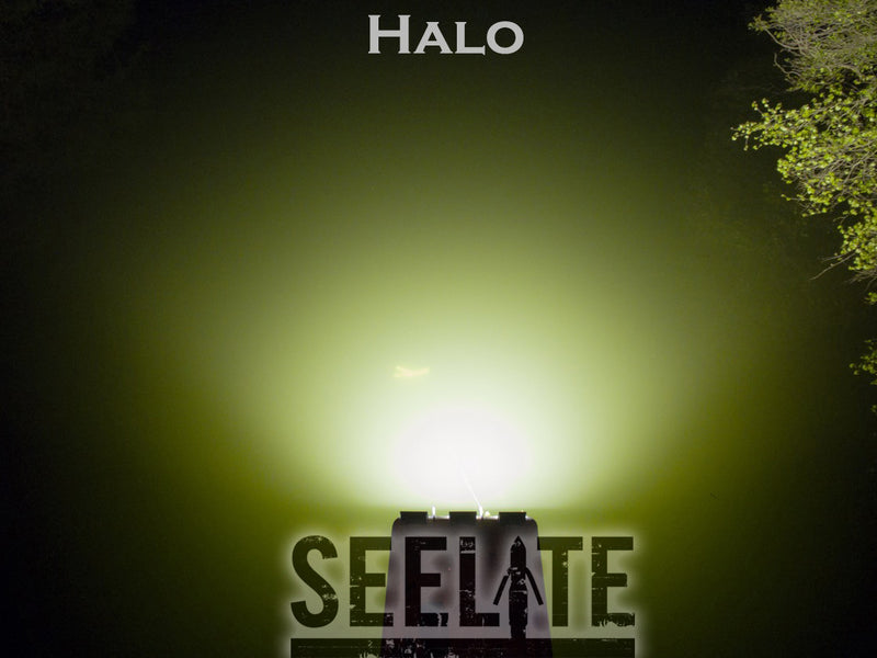 Load image into Gallery viewer, 50W TRUEWarm LED Flood Light w/ XD Glass
